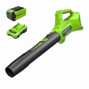 40V 350 CFM Cordless Battery Leaf Blower w/ 2.0 Ah Battery & Charger