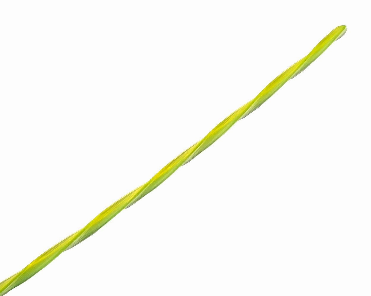.095 Ultra Twisted String Trimmer Line (200-Feet)