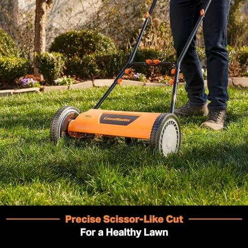         LawnMaster LMRM1602 Push Reel Lawn Mower 16-Inch 5-Blade       