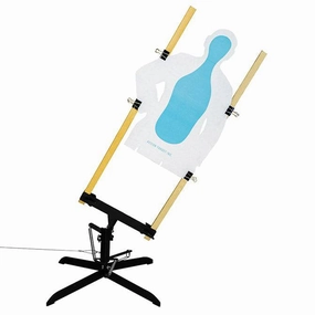 Action Targets PT Turn Swing