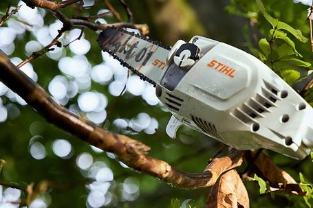 STIHL HTA 86 Cordless Pole Pruner