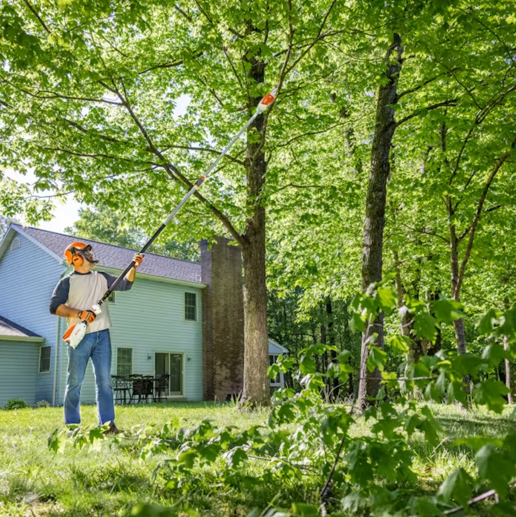 STIHL HTA 86 Cordless Pole Pruner