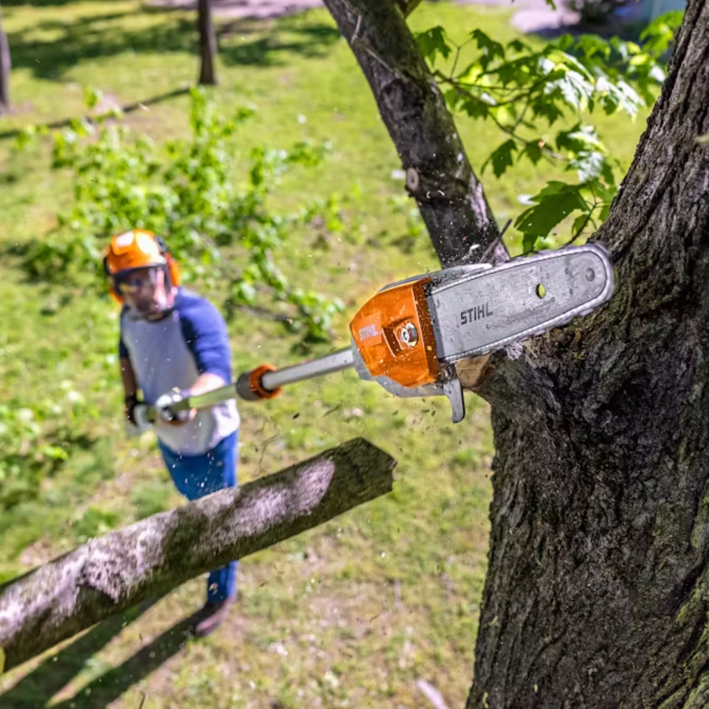 STIHL HTA 86 Cordless Pole Pruner