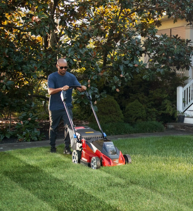 Toro 60V MAX* 21 in. Stripe Self-Propelled Mower - 6.0Ah 21621